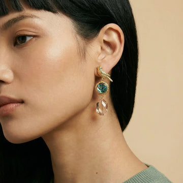 Gouttes d'ormeau chant de l'oiseaux